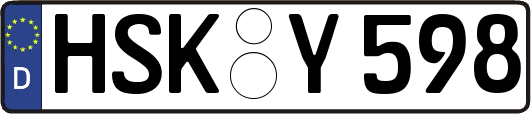 HSK-Y598