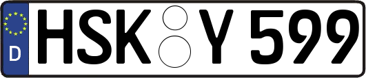 HSK-Y599