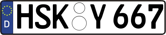 HSK-Y667