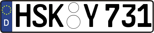 HSK-Y731