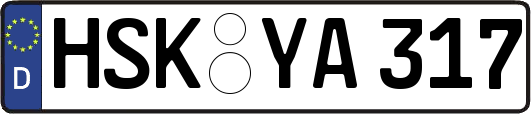 HSK-YA317