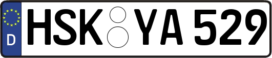 HSK-YA529