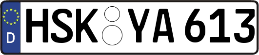 HSK-YA613