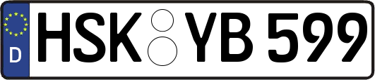 HSK-YB599
