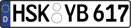 HSK-YB617