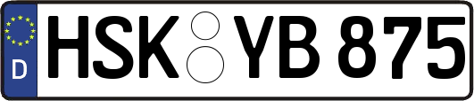 HSK-YB875