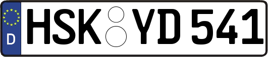 HSK-YD541