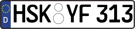 HSK-YF313