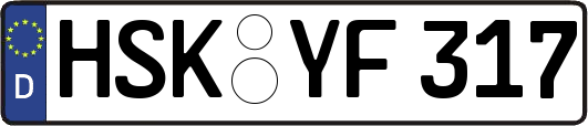 HSK-YF317