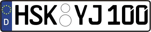 HSK-YJ100