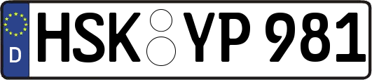 HSK-YP981