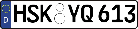 HSK-YQ613