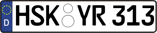 HSK-YR313