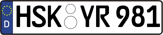 HSK-YR981