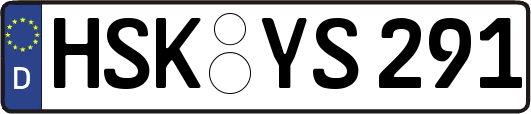 HSK-YS291