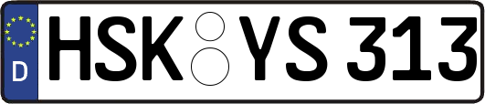 HSK-YS313