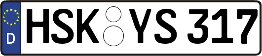 HSK-YS317
