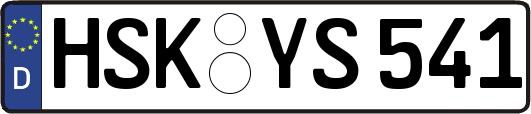HSK-YS541
