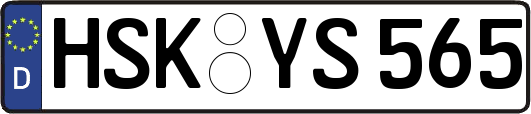 HSK-YS565