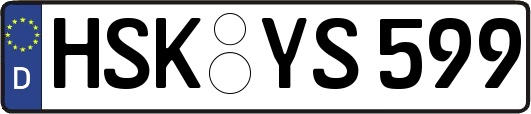 HSK-YS599
