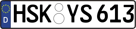 HSK-YS613