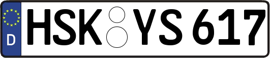 HSK-YS617