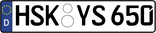 HSK-YS650