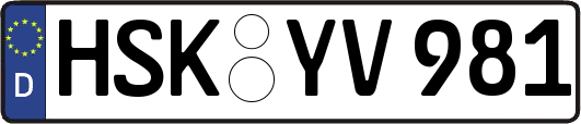 HSK-YV981
