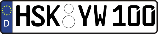 HSK-YW100