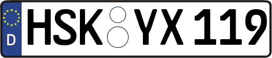 HSK-YX119