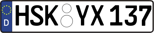 HSK-YX137