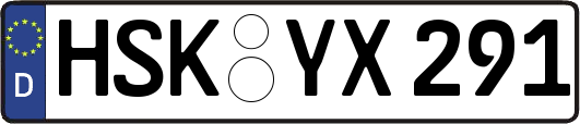 HSK-YX291