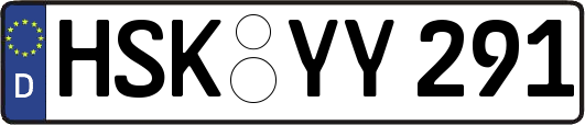 HSK-YY291