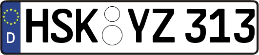 HSK-YZ313