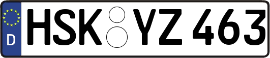 HSK-YZ463