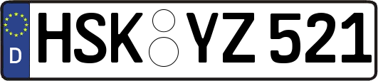 HSK-YZ521