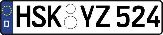 HSK-YZ524