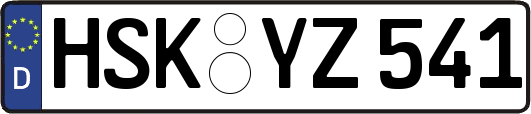 HSK-YZ541