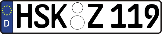 HSK-Z119