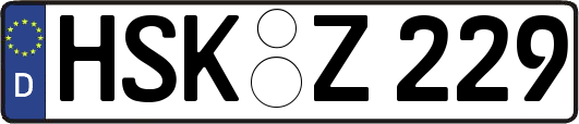 HSK-Z229