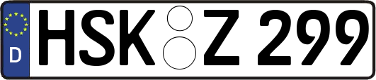 HSK-Z299
