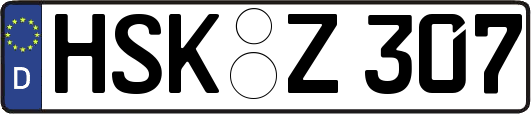 HSK-Z307