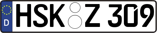 HSK-Z309