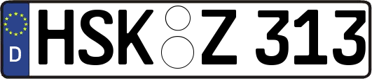 HSK-Z313
