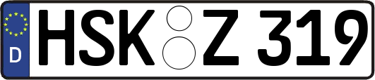 HSK-Z319