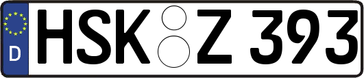 HSK-Z393