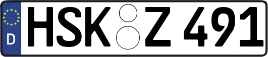 HSK-Z491