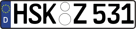 HSK-Z531