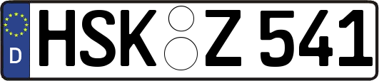 HSK-Z541