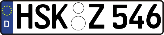 HSK-Z546